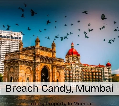 Breach Candy, Mumbai - Map, Area, Property Rates, Pincode, Photos, Builders, Overview