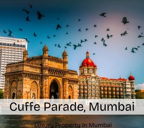 Cuffe Parade, Mumbai Map, Area, Property Rates, Pincode, Photos, Builders, Overview