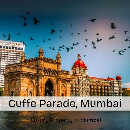 Cuffe Parade, Mumbai Map, Area, Property Rates, Pincode, Photos, Builders, Overview