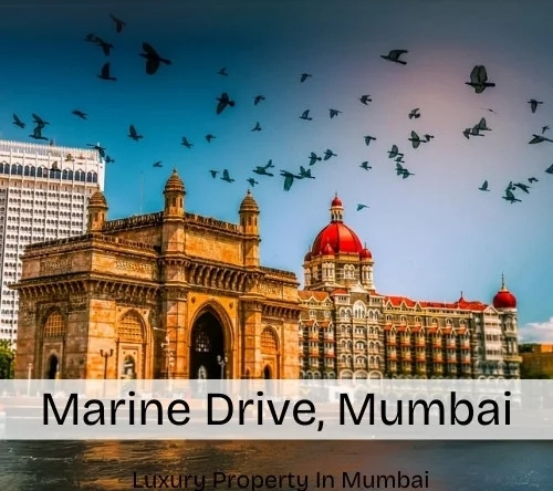 Marine Drive, Mumbai – Map, Area, Property Rates, Pincode, Photos, Builders, Overview