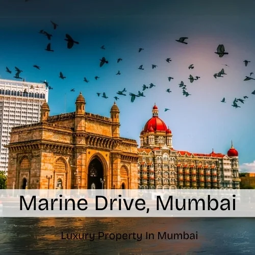Marine Drive, Mumbai – Map, Area, Property Rates, Pincode, Photos, Builders, Overview
