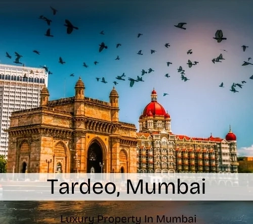 Tardeo, Mumbai – Map, Area, Property Rates, Pincode, Photos, Builders, Overview