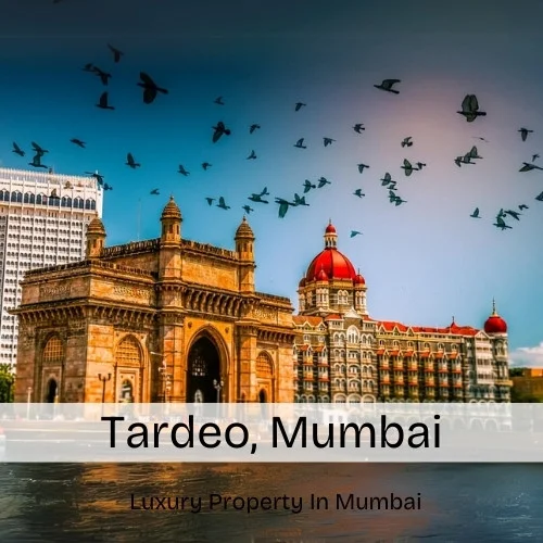 Tardeo, Mumbai – Map, Area, Property Rates, Pincode, Photos, Builders, Overview
